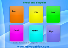 Plural Singular 1