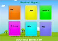 Plural Singular 2