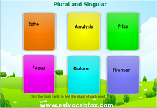 Plural Singular 4