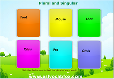 Plural Singular 5