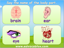 Body Parts powerpoint, hand, leg, head, teeth, ear, mouth. For teachers in classrooms.