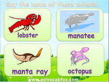 Aquatic Animals PowerPoint - Learn about Fish, water animals, ESL (English) PPT.