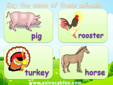 English Language PowerPoint on Domestic Animals: bull, goat, chicken, lamb,  pig, rooster, turkey, horse, cow, rabbit ESL Vocabulary - ESL Vocab Fox