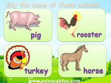 Domestic Animals PPT, English Language PowerPoint on Animal Names.