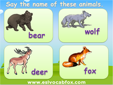 English Language PowerPoint on Wild Animals: bear, wolf, deer, fox, hare,  hedgehog, boar, skunk, owl ESL Vocabulary - ESL Vocab Fox