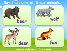 Wild Animals PowerPoint lessons, ESL PPT on animal names, lion, bear, fox, deer, wolf etc