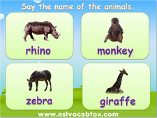 Zoo Animals PPT, ESL / English Language vocabulary PowerPoint, rhino, bear, zebra, elephant, giraffe 