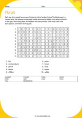 plurals words puzzle 17