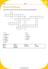 Plurals Crossword 6