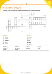 Plurals Crossword 8