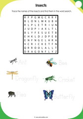 Insects Vocabulary 1