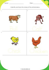 Farm Animals 1