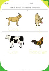 Farm Animals 2