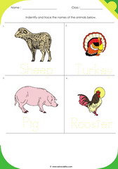 Farm Animals 3