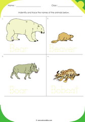 Land Animals 9