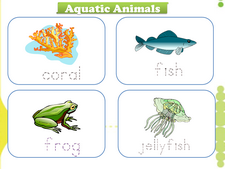 Aquatic Animals vocabulary