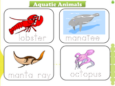 Aquatic Animals vocabulary