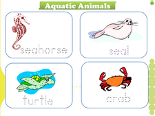 Aquatic Animals vocabulary