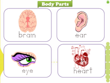 Body Parts vocabulary