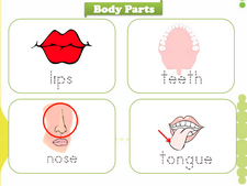 Body Parts vocabulary