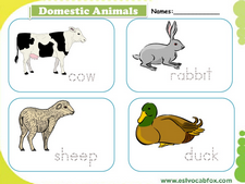 Domestic Animals vocabulary