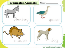 Domestic Animals vocabulary