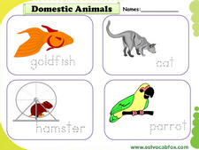 Domestic Animals vocabulary