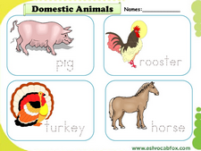 Domestic Animals vocabulary