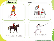 Sports vocabulary