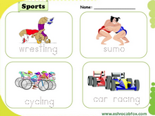 Sports vocabulary