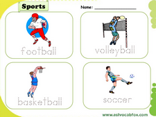 Sports vocabulary