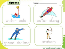 Sports vocabulary