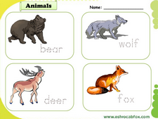 Wild Animals vocabulary