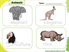 Wild Animals vocabulary