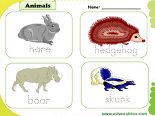 Wild Animals vocabulary