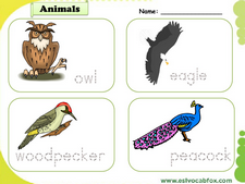 Wild Animals vocabulary