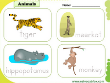 Wild Animals vocabulary