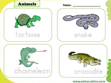 Wild Animals vocabulary