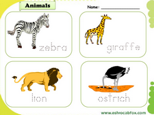 Wild Animals vocabulary